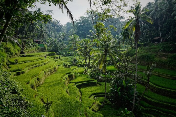 Bali en un día: tour introductorio - Imagen 4