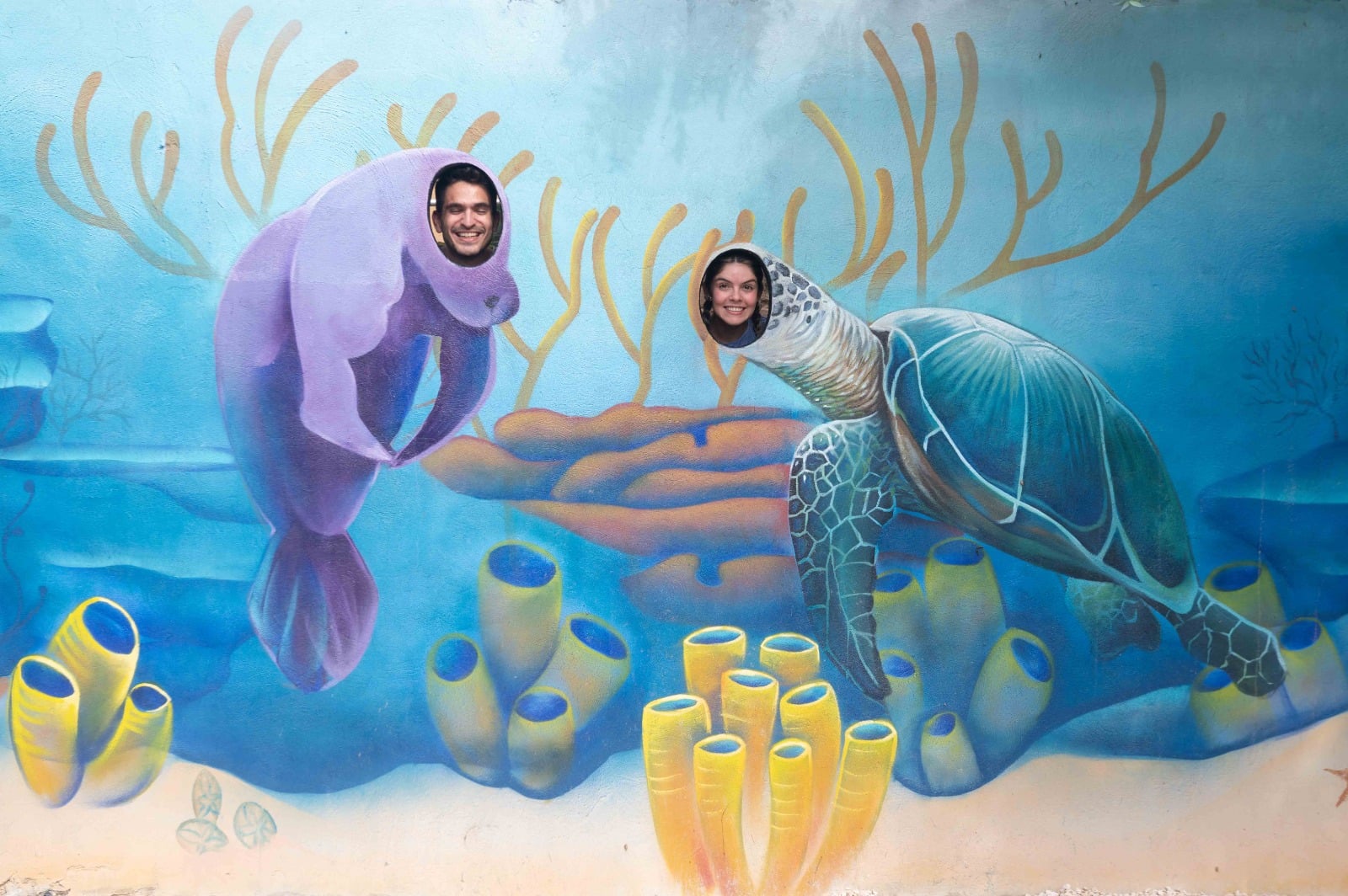 Combo Arte y Camino del Bosque - Imagen 4