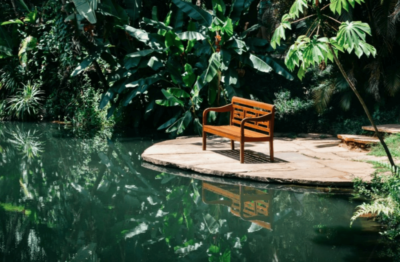 Tour a Inhotim - Imagen 3