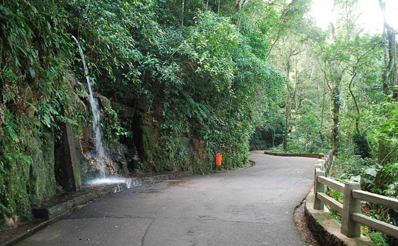 Tijuca Forest and Botanical Garden Tour - Imagen 2