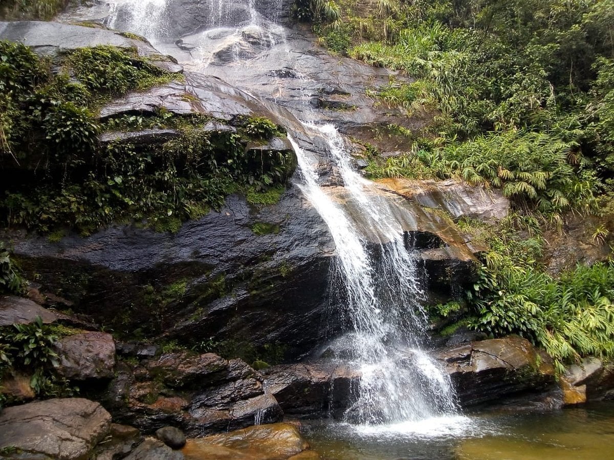 Tijuca Forest and Botanical Garden Tour - Imagen 4