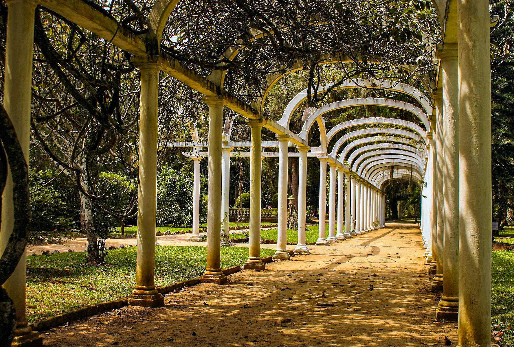 Jeep Adventure with Botanical Garden - Imagen 3