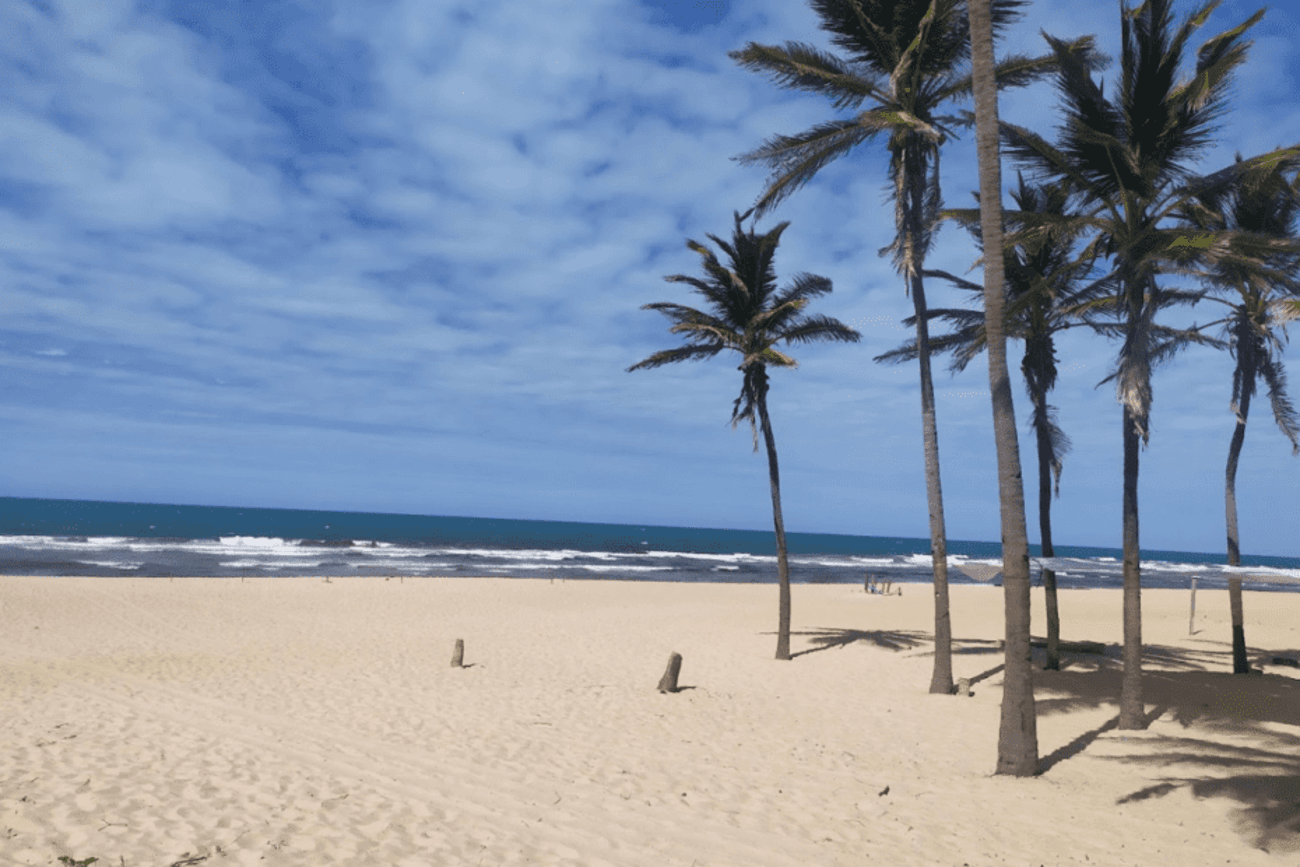 Tour Panorámico en Fortaleza - Imagen 2