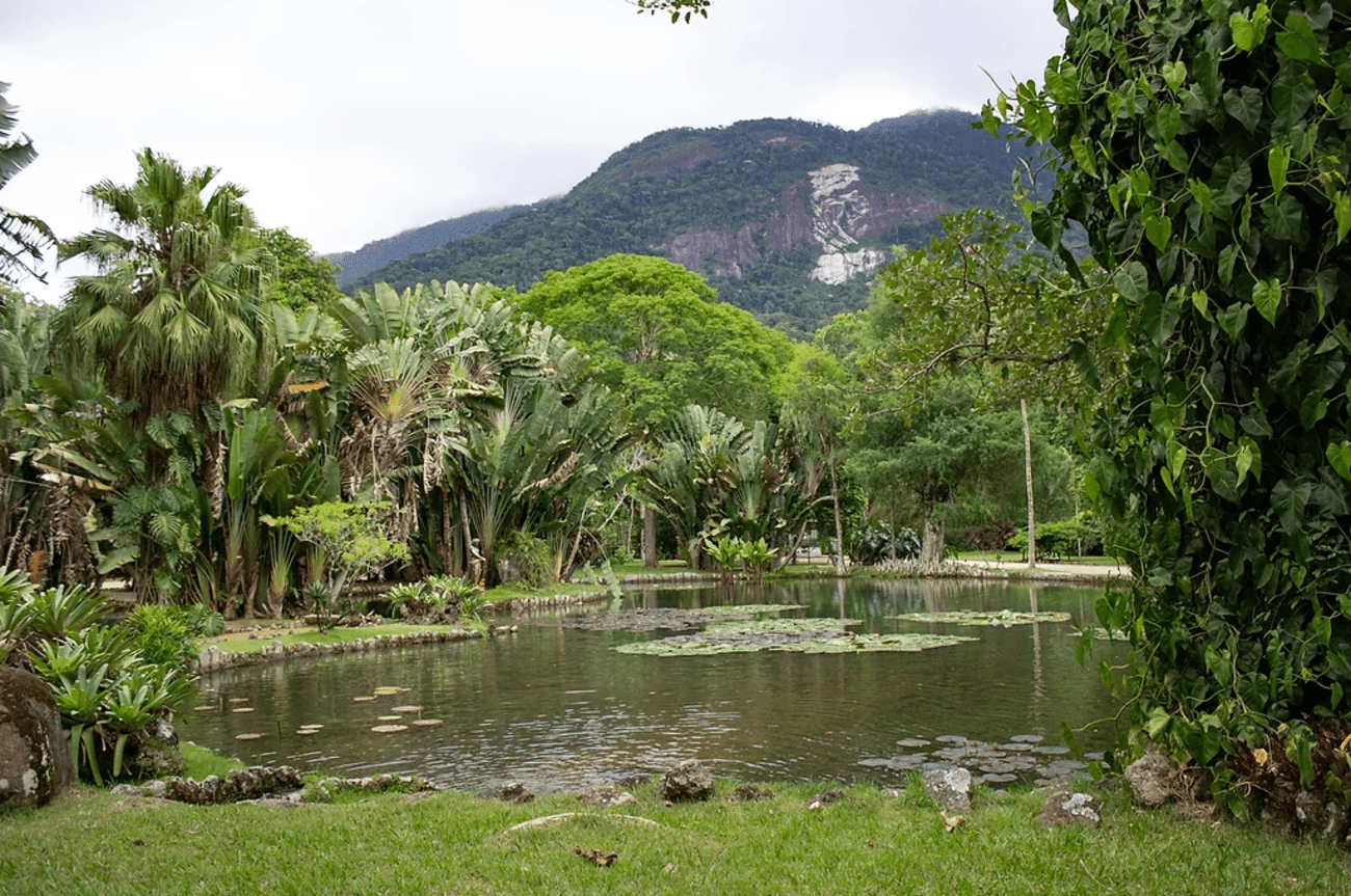 Jeep Tour: Tijuca Forest & Botanical Garden - Imagen 2