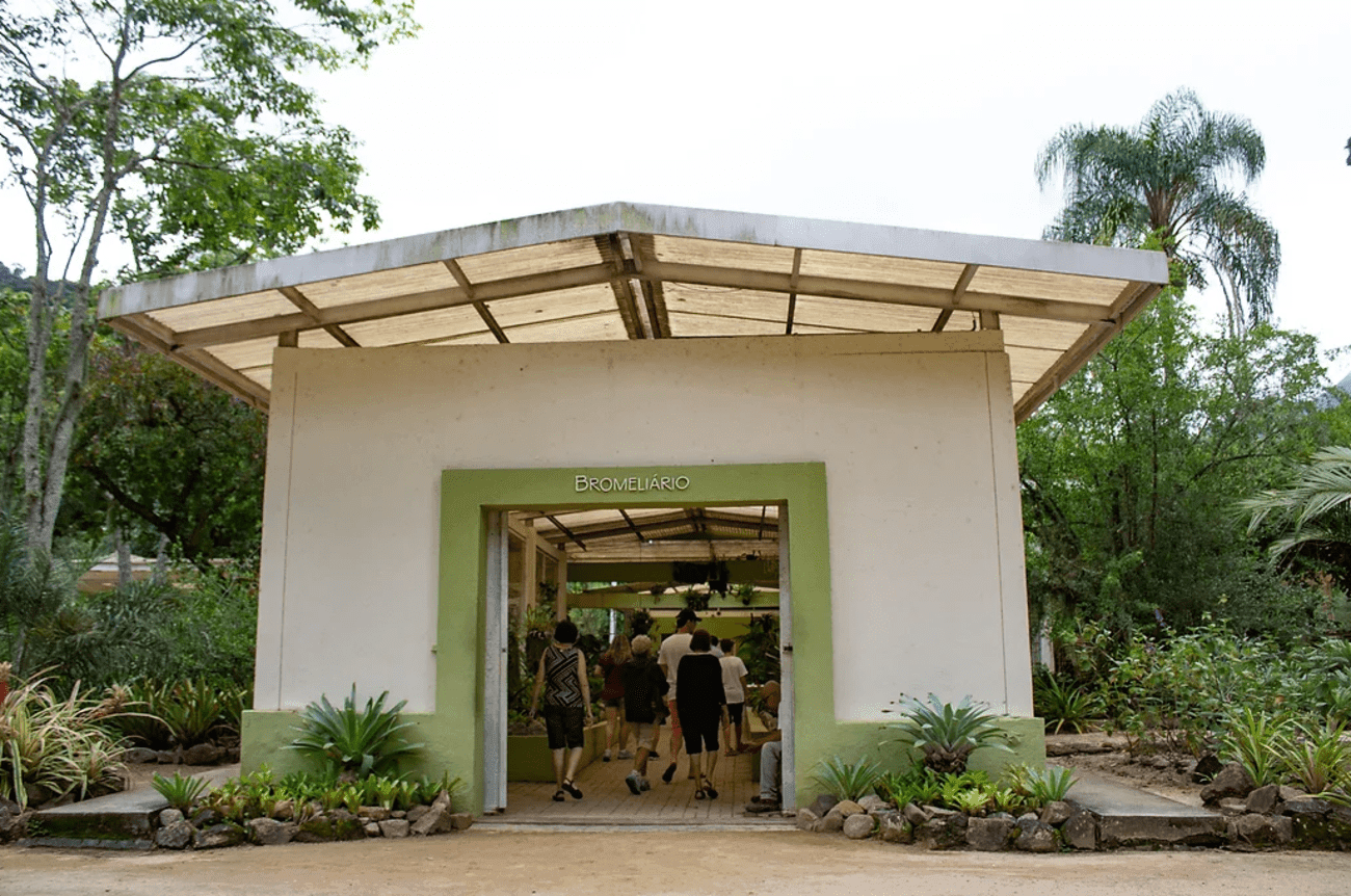 Jeep Tour: Tijuca Forest & Botanical Garden - Imagen 3