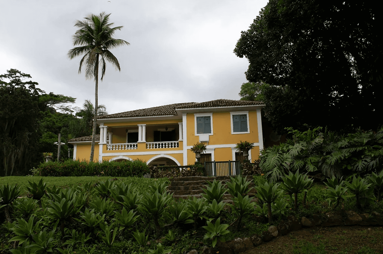 Jeep Tour: Tijuca Forest & Botanical Garden - Imagen 4