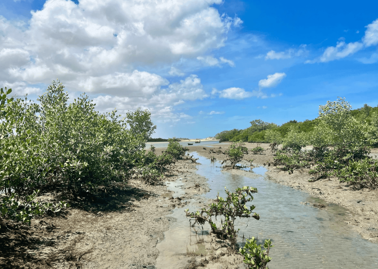 Tour por la Costa Oeste - Imagen 4
