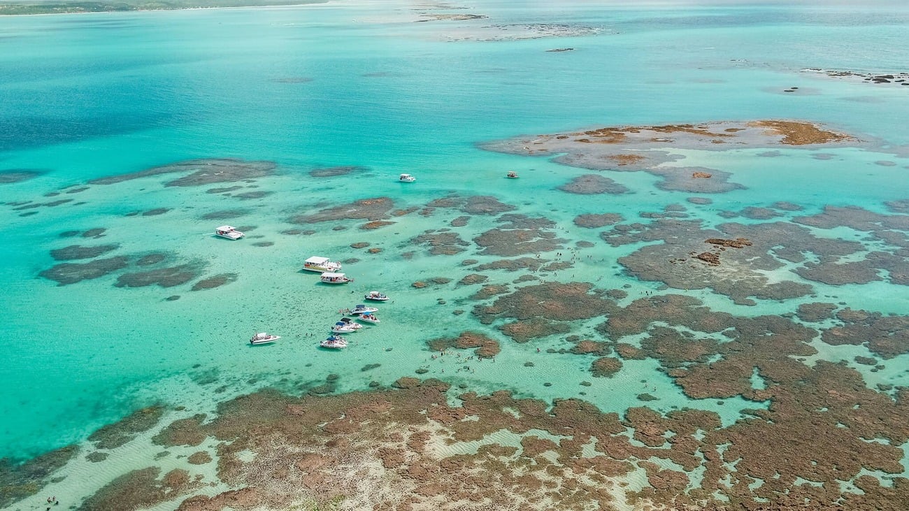 Tour a Maragogi - Imagen 2