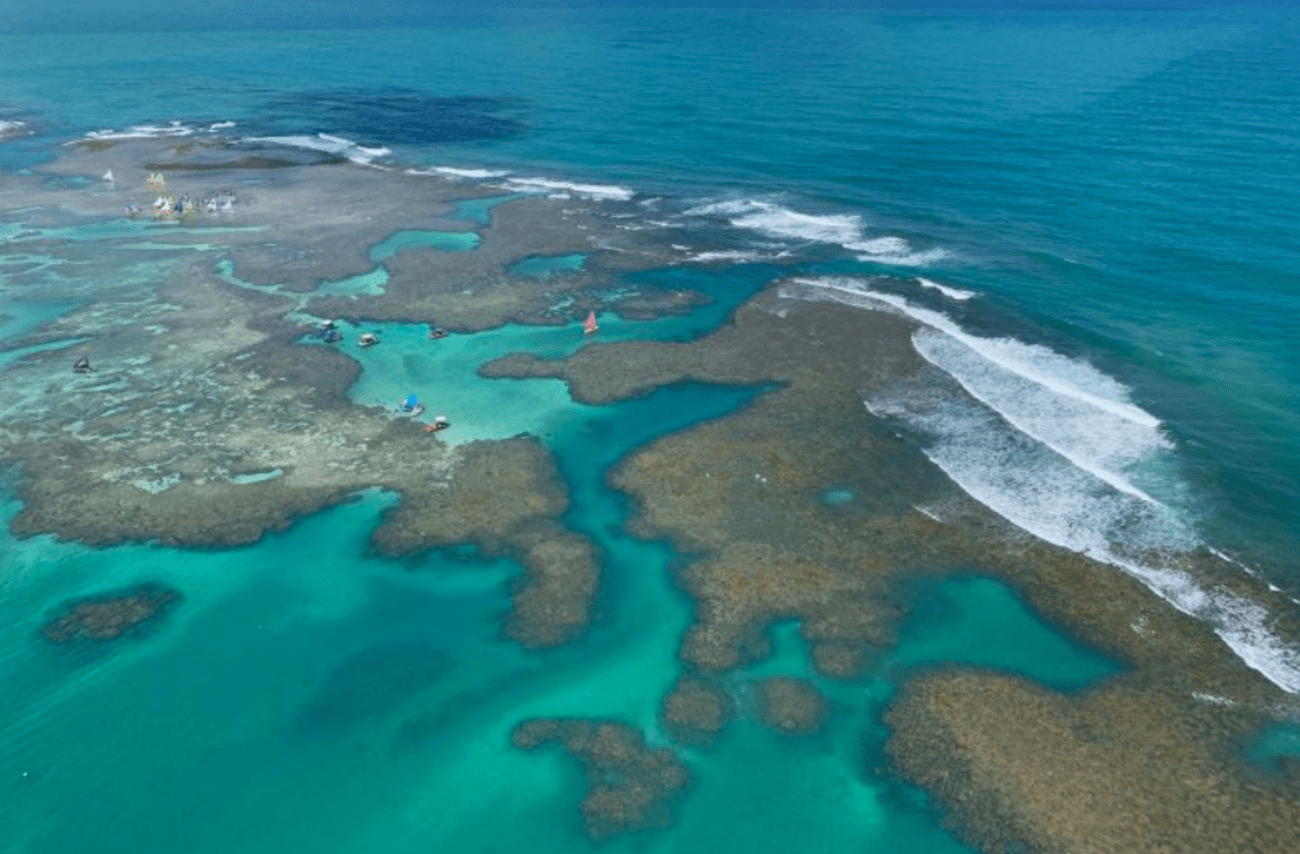 Visita a Porto de Galinhas - Imagen 3