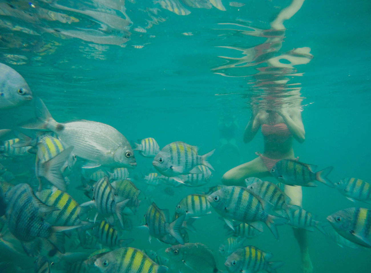 Tour por las Islas Paradisiacas de Paraty - Imagen 2