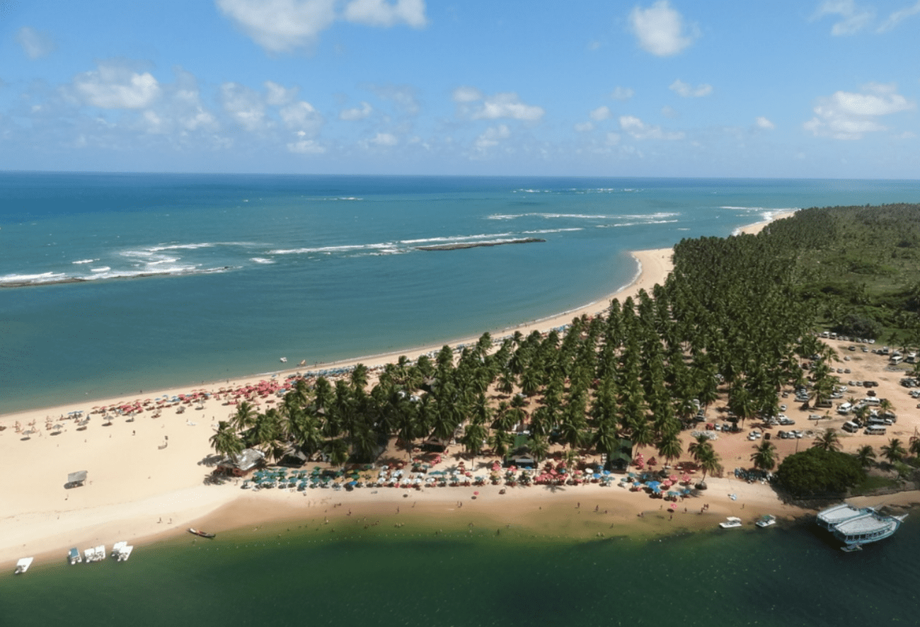 Passeio Praia do Gunga - Imagen 2