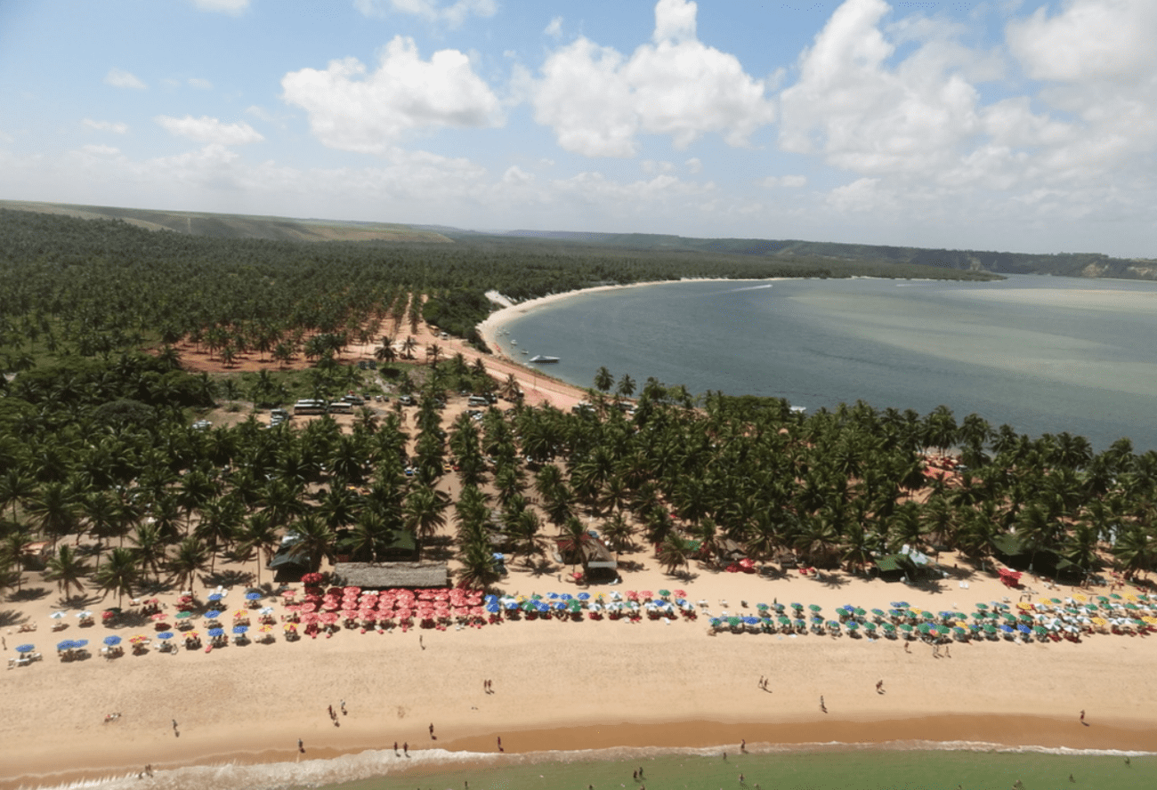 Passeio Praia do Gunga - Imagen 4