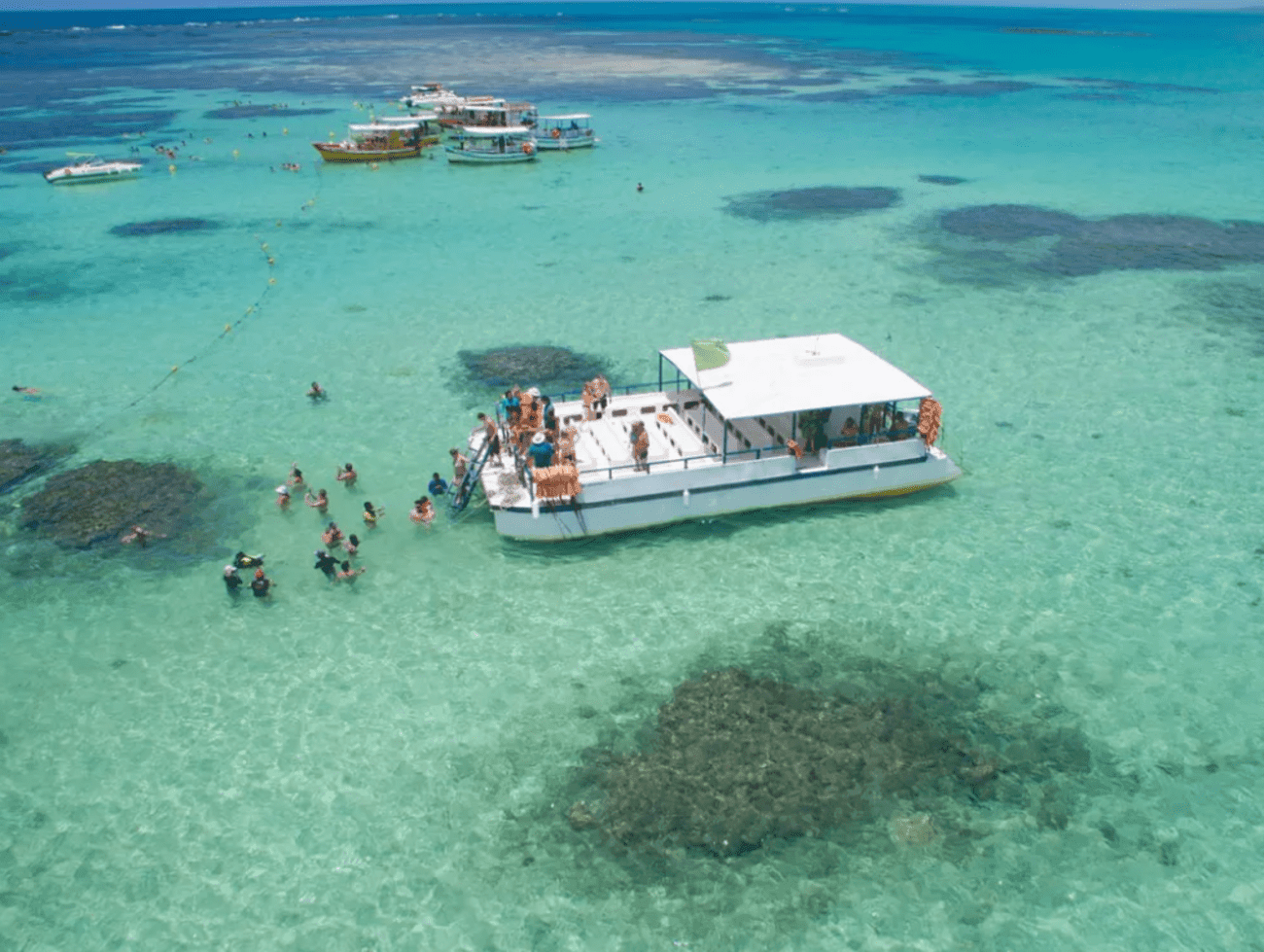 Visita a Maragogi - Imagen 2