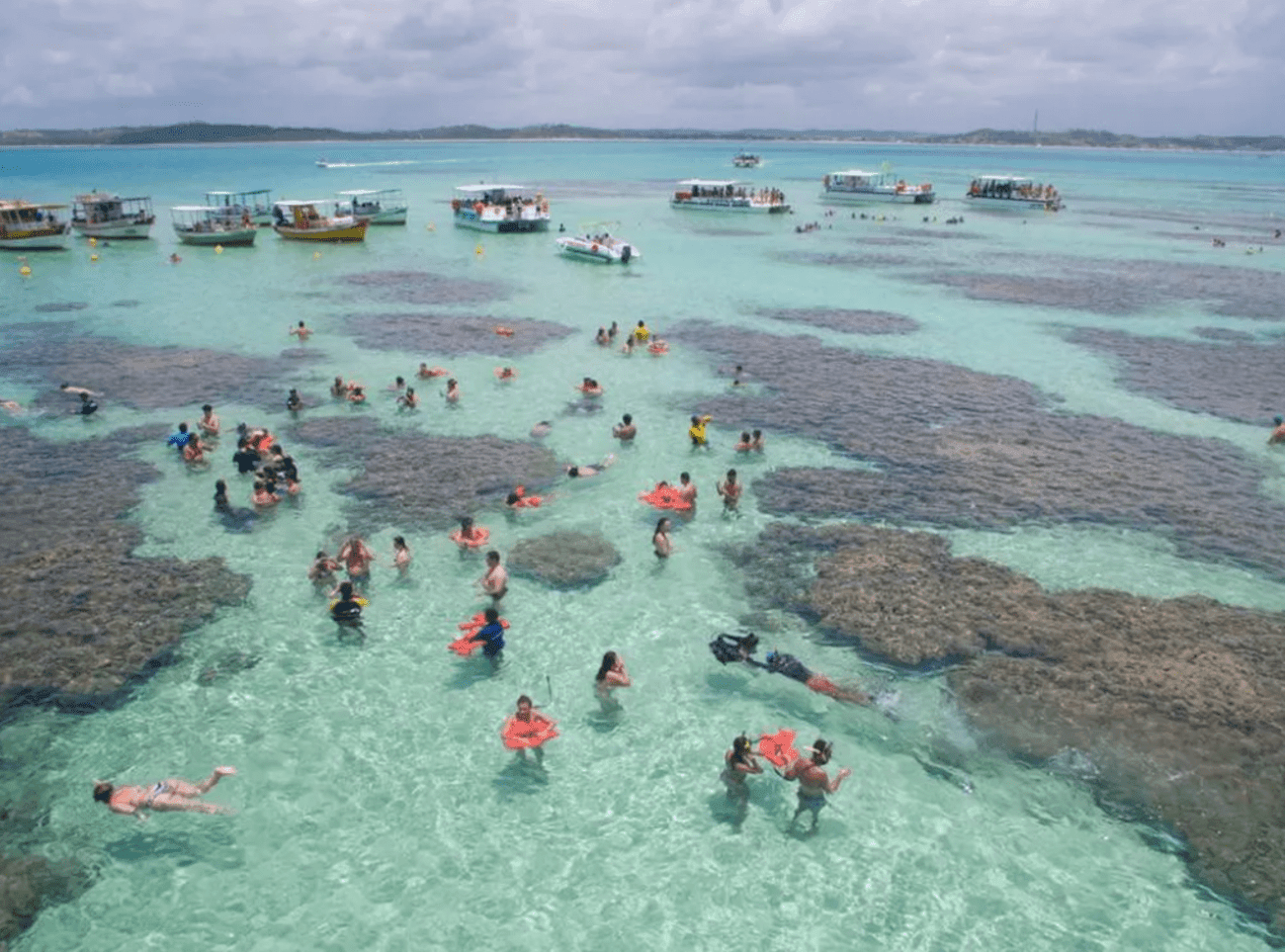 Visita a Maragogi - Imagen 3