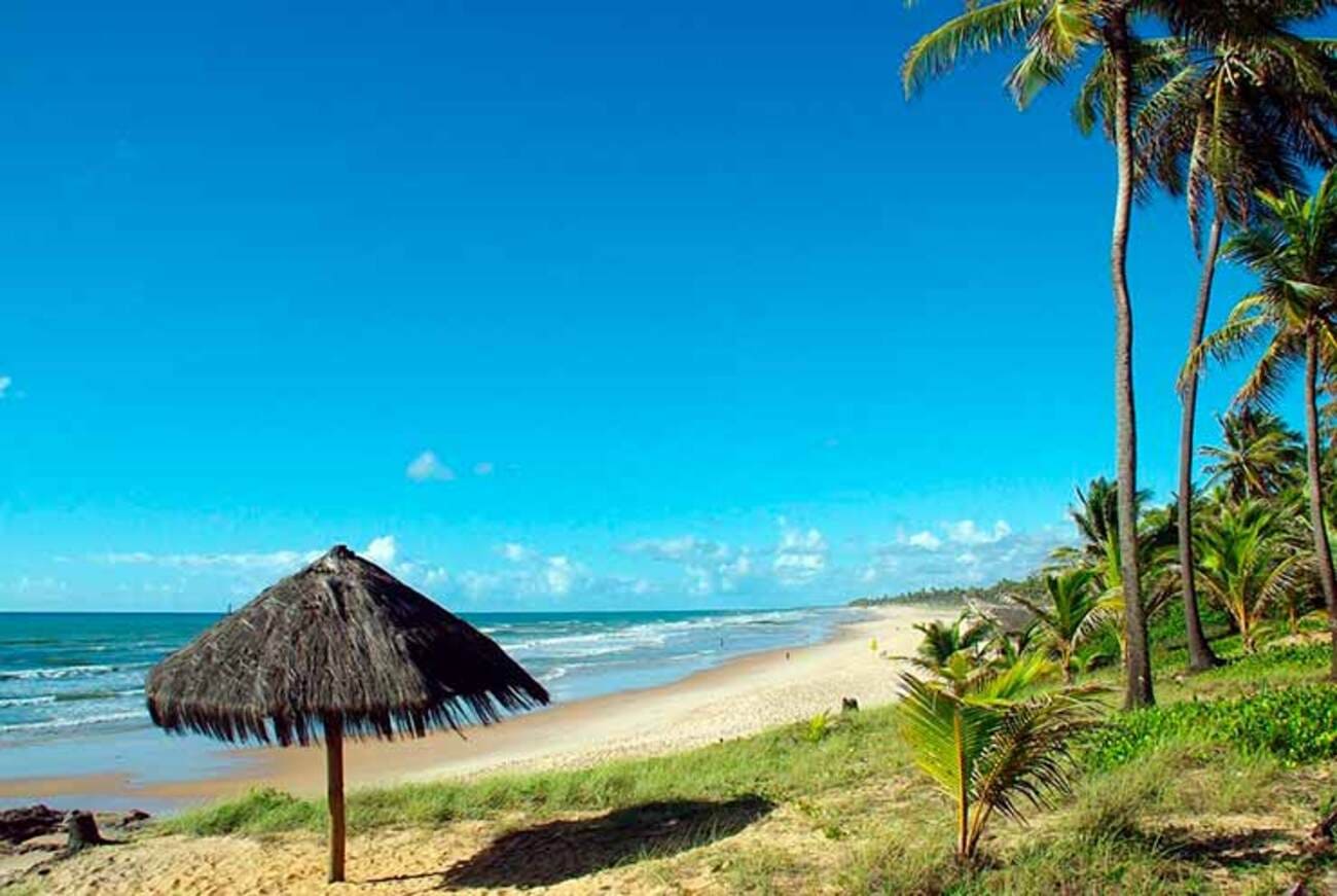 Tour Islas Tropicales - sin almuerzo - Imagen 3