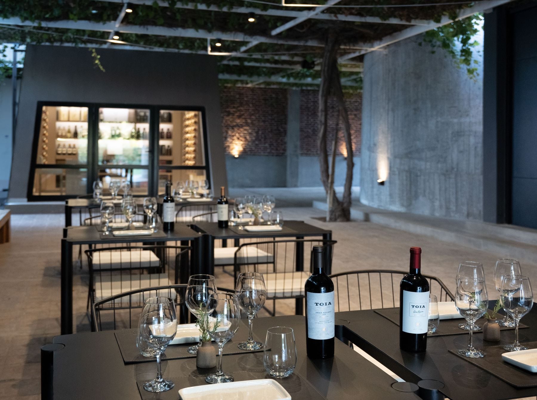 Bodega Putruele: degustación y maridaje - Imagen 4