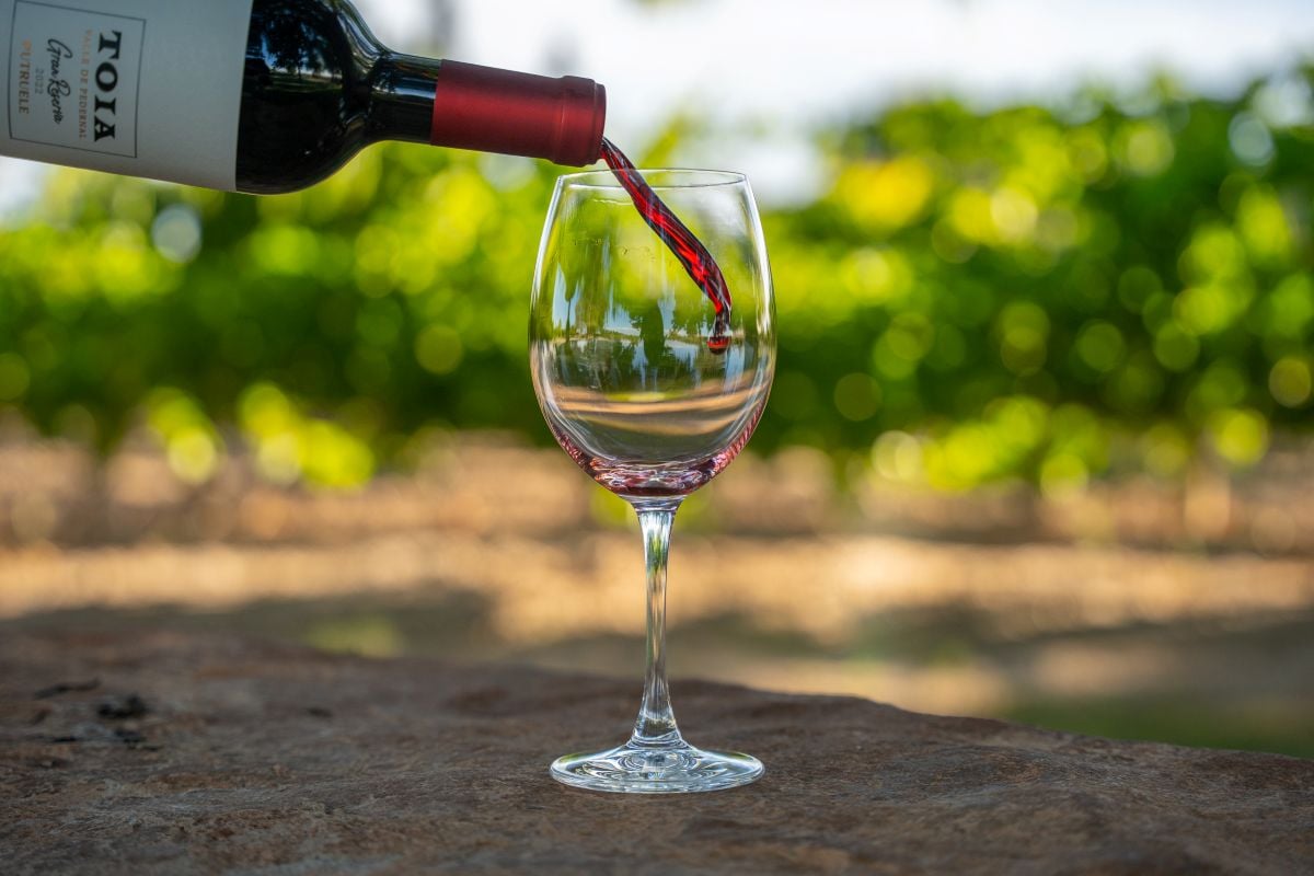 Bodega Putruele: degustación y maridaje - Imagen 2