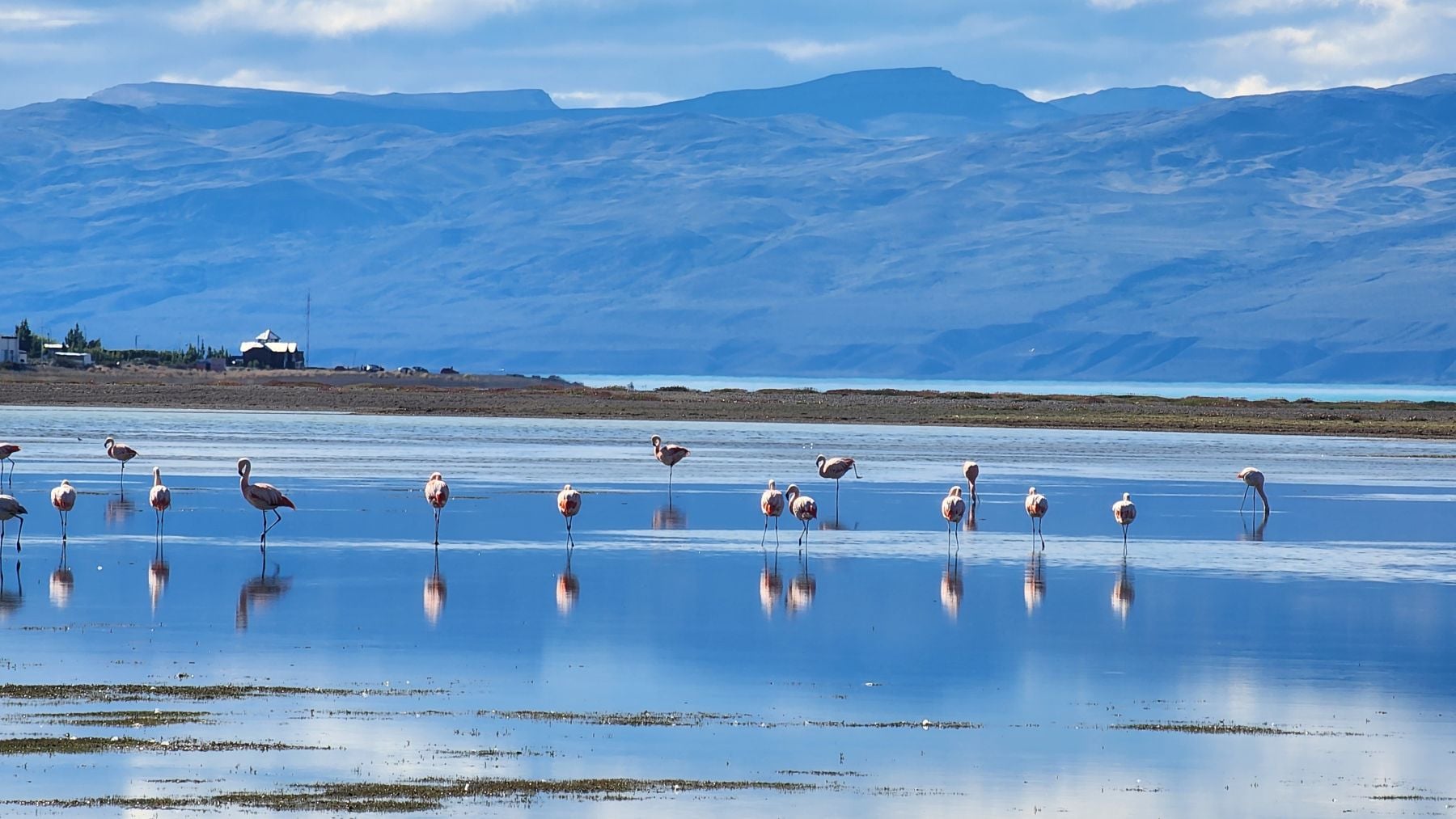 El Calafate, its Landscapes and Flavors - Imagen 4