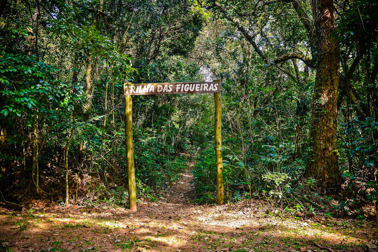 Tour ecológico Parque Estatal Cantareira - Imagen 4