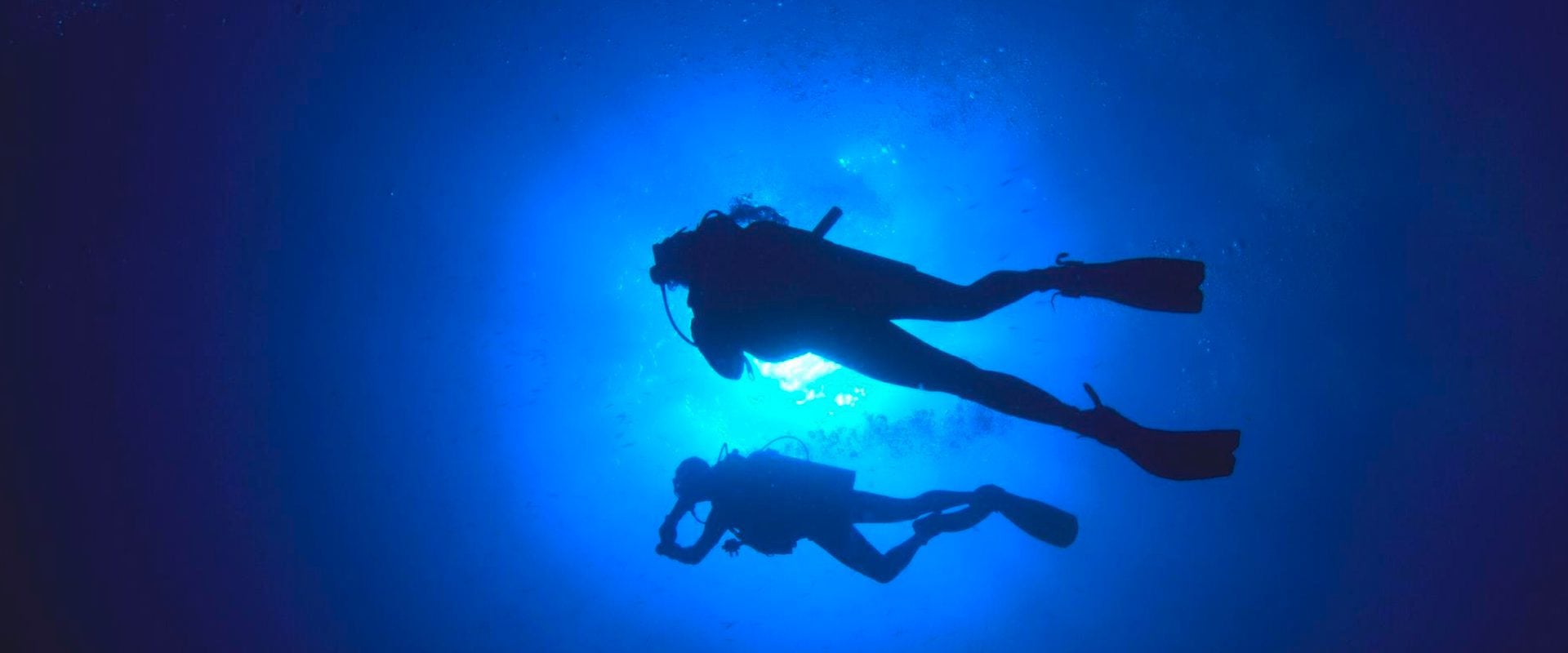 Buceo en Paracas - Buceo de descubrimiento - Imagen 4