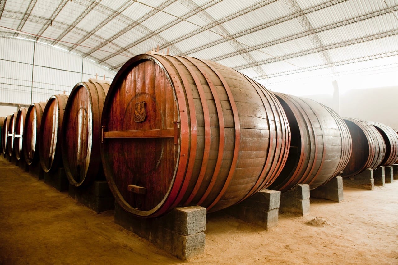 Ruta del pisco: pisco y vino - Imagen 3