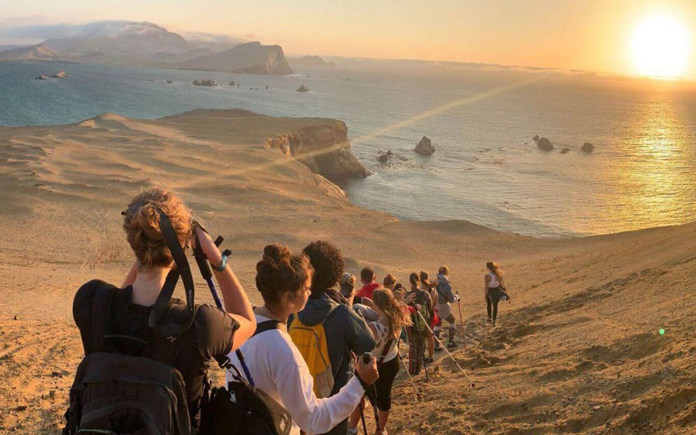 Ballestas y Reserva de Paracas: día completo - Imagen 2