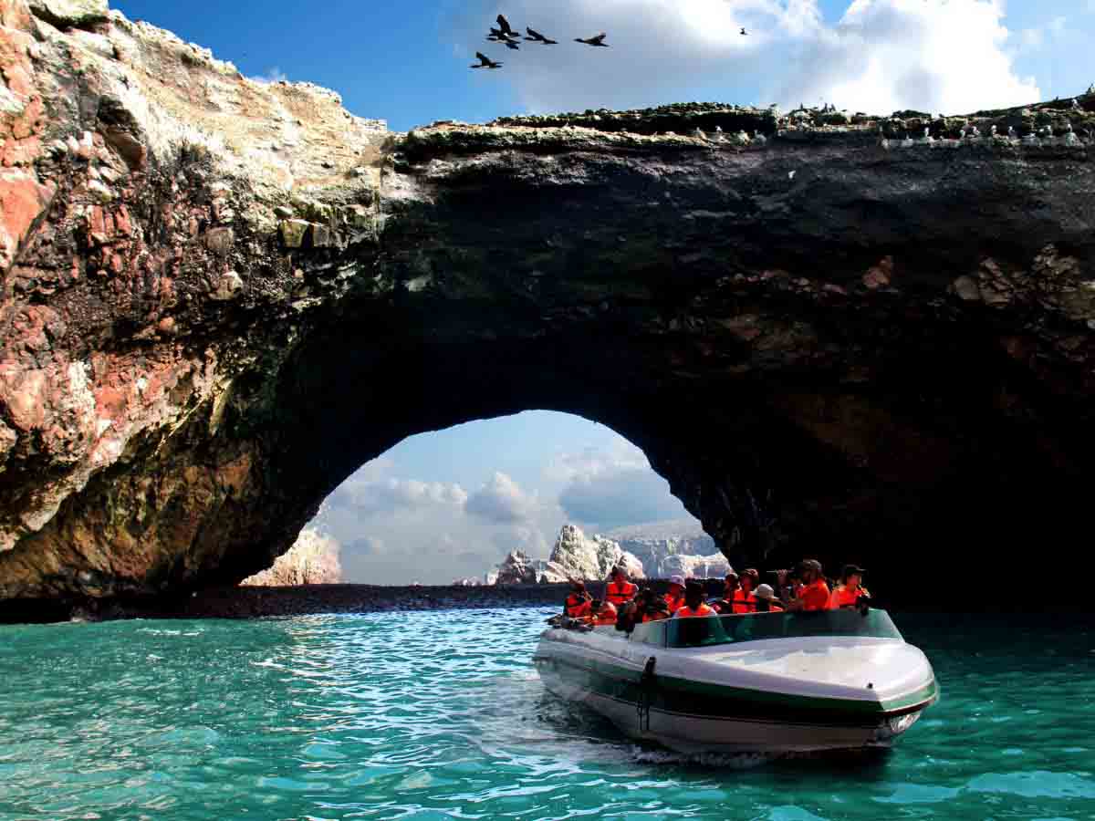 Ballestas y Reserva de Paracas: día completo - Imagen 3