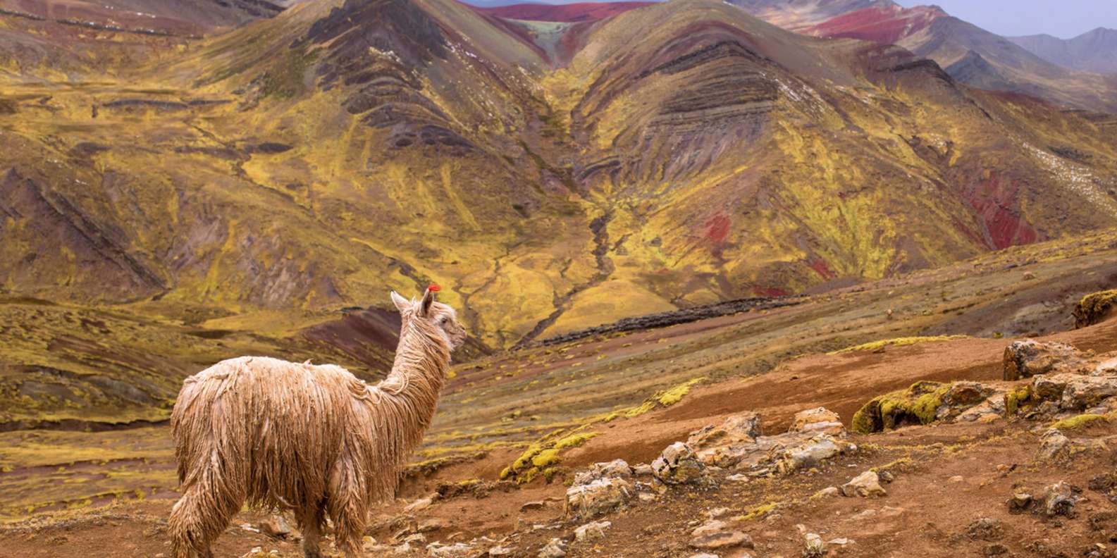 Explore Palcoyo, montanha Arco-Íris - Imagen 4