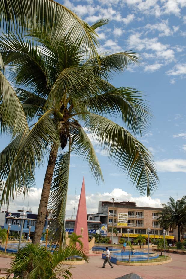 Tarapoto: ciudad, chocolate y animales - Imagen 2