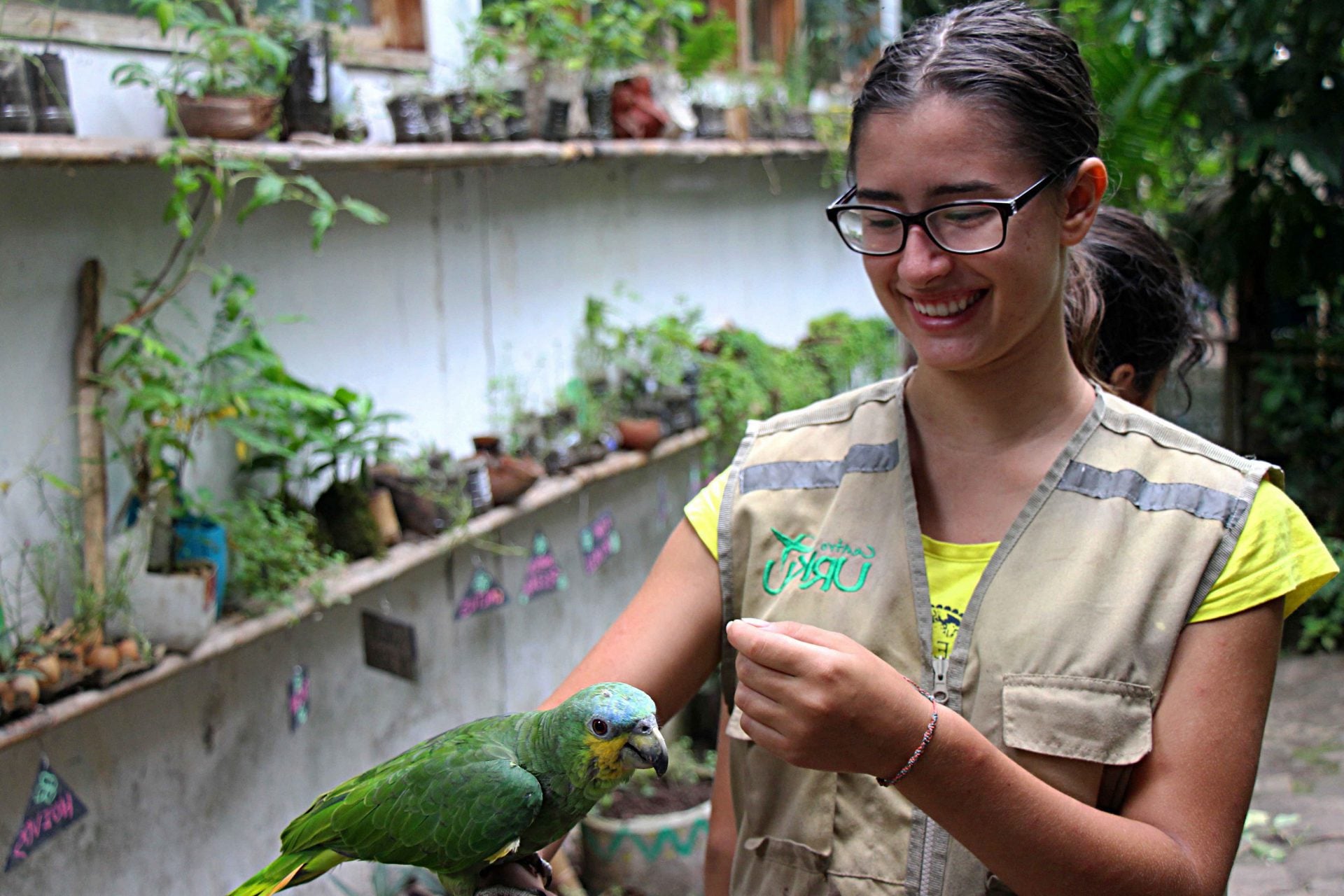Tarapoto: ciudad, chocolate y animales - Imagen 4