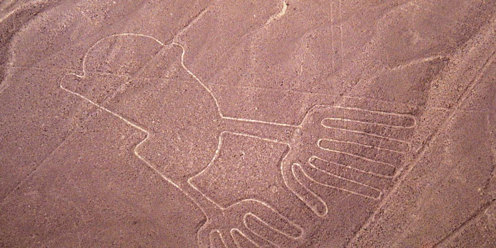 Líneas de Nazca: vuelo de día completo - Imagen 4