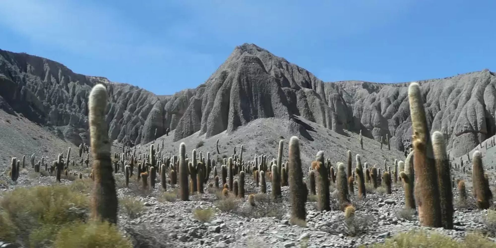 Quebrada y Viaducto del Toro - Imagen 4
