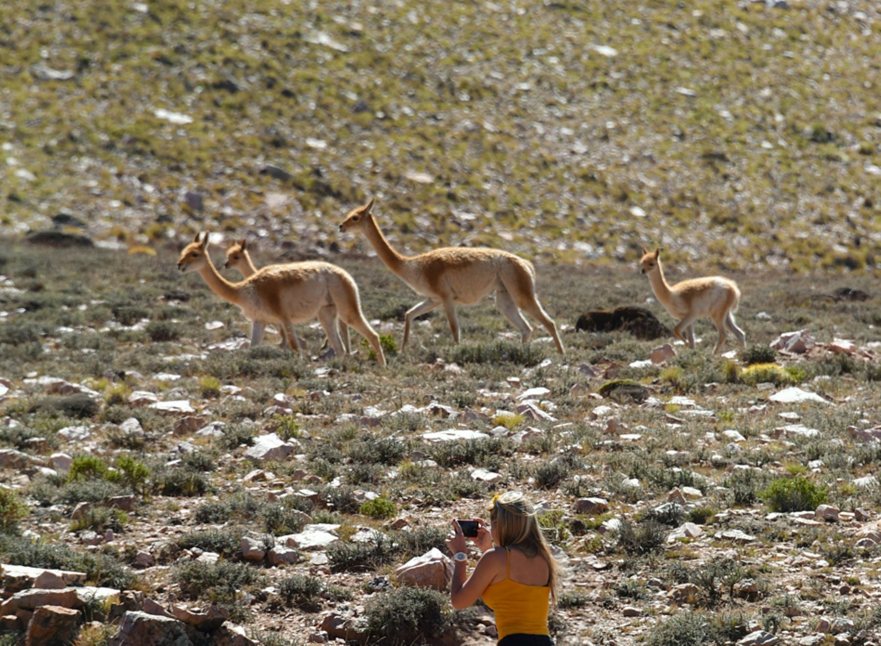 Salinas Grandes con trekking en Coloraditos - Imagen 4