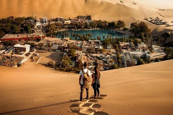 Paracas, Ica y Huacachina: día completo - Imagen 3