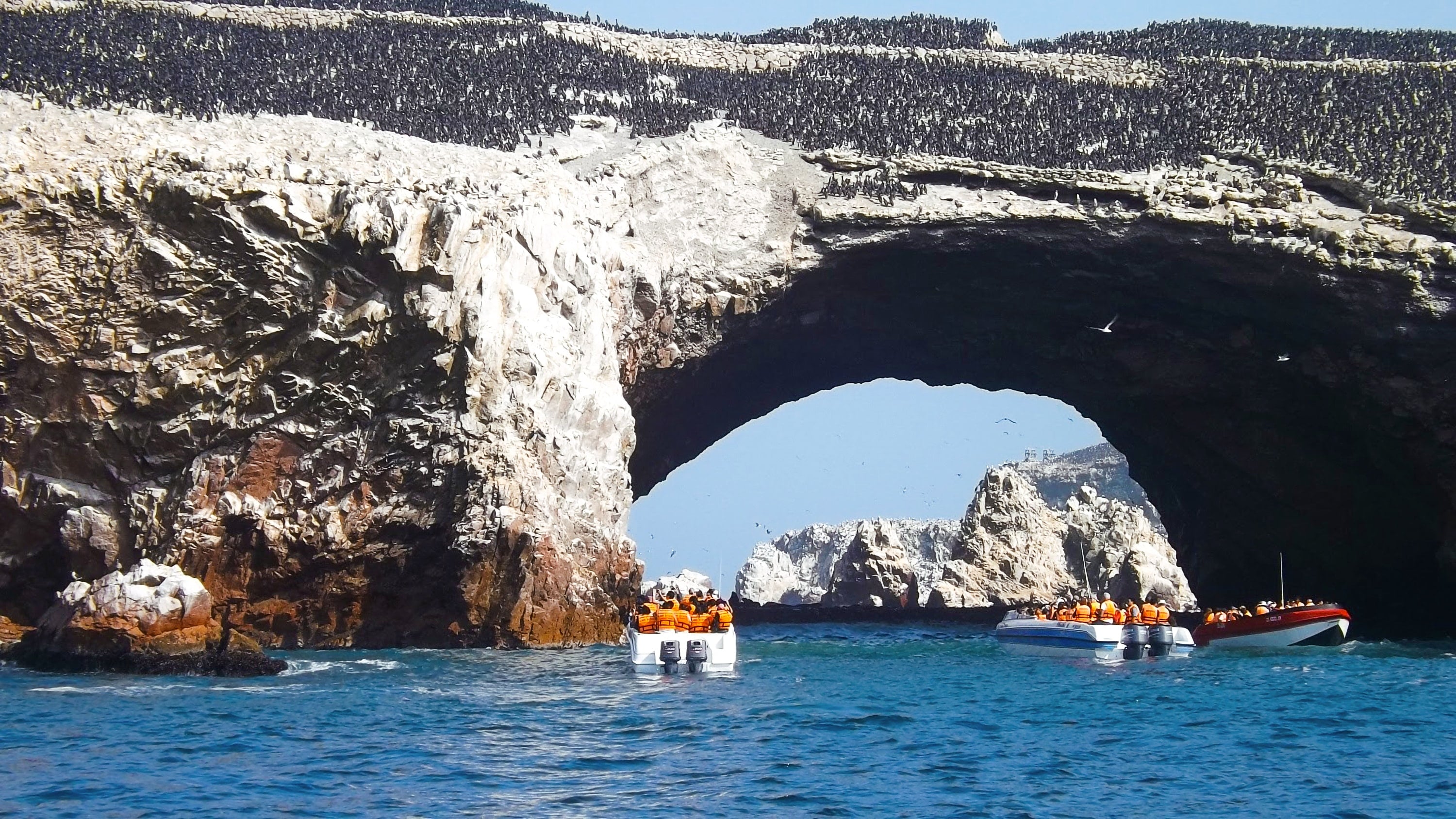 Islas Ballestas: las Galápagos del Perú - Imagen 2
