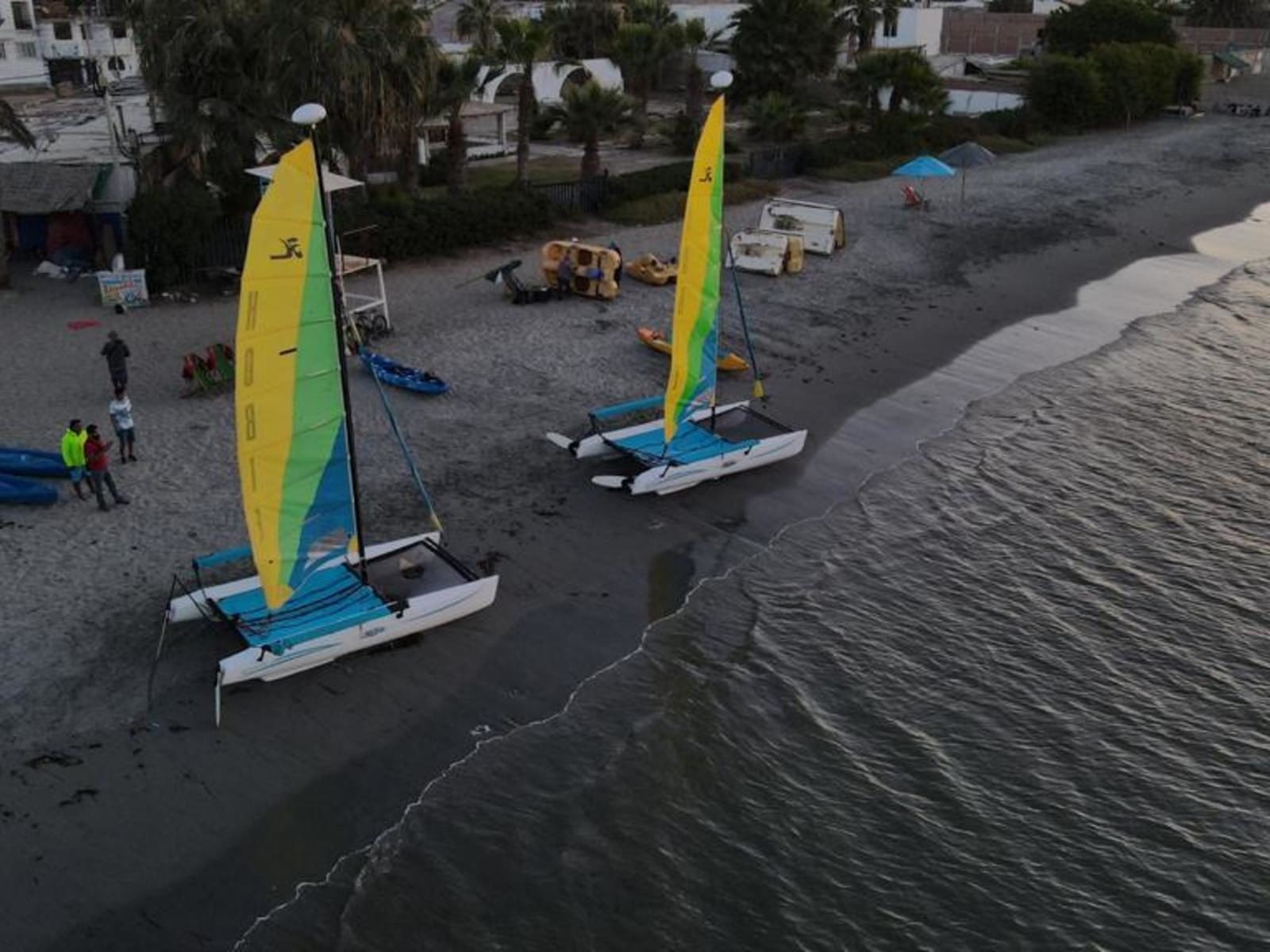Navega en catamarán por la Bahía de Paracas - Imagen 4