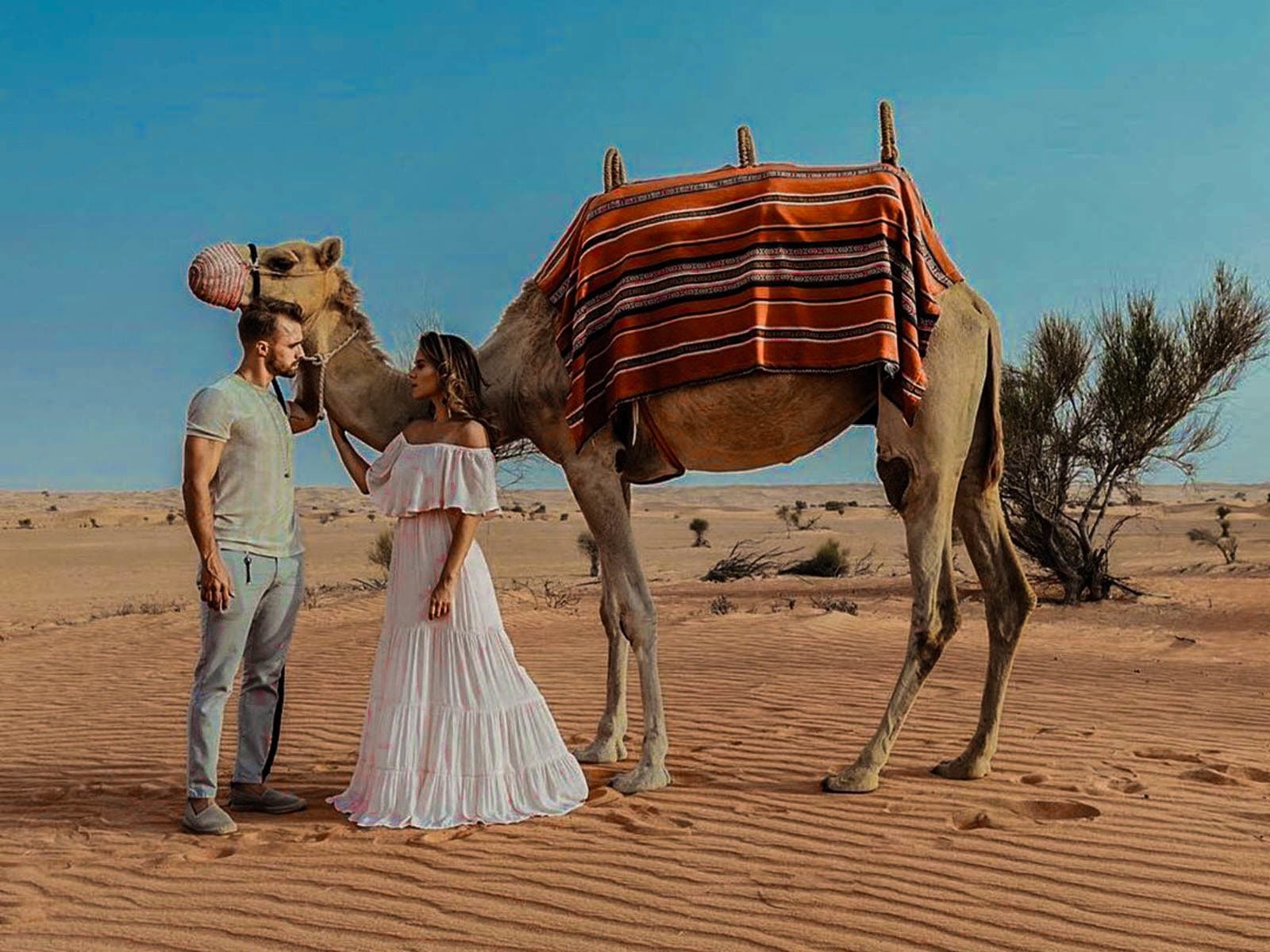 Camello en el desierto de Ica - Imagen 2