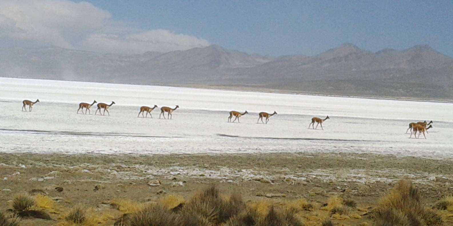 Experiencia Mini Uyuni - Lago Salinas - Imagen 4