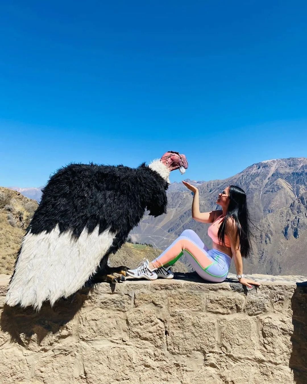 Descubrimiento del Cañón del Colca - Imagen 2