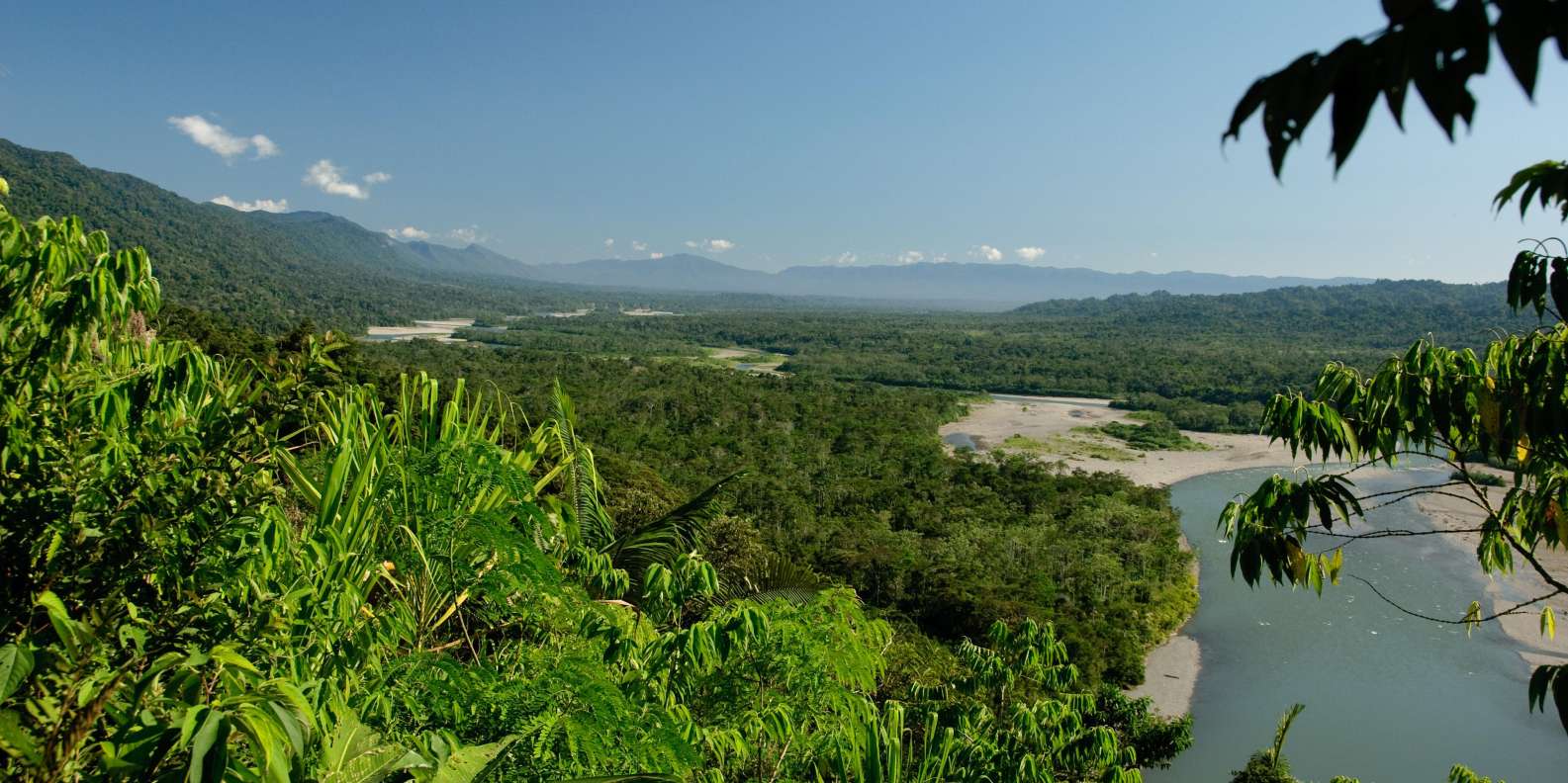 Sandoval: 2 días en la selva de Tambopata - Imagen 4