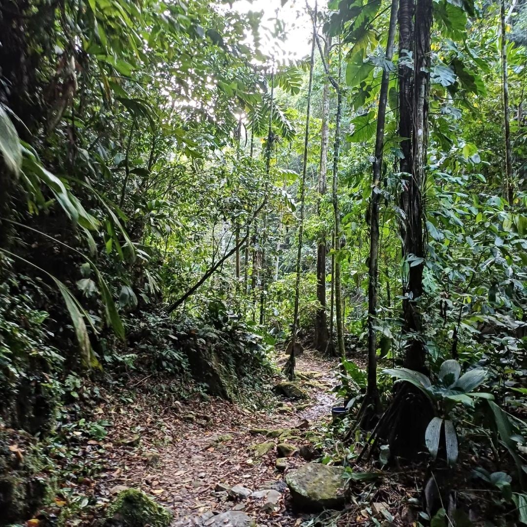 Cascada de Huacamaillo: experiencia eco - Imagen 3
