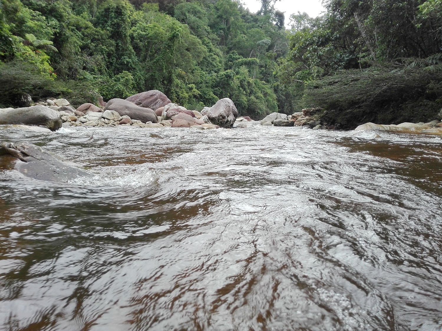 Cascada de Huacamaillo: experiencia eco - Imagen 2
