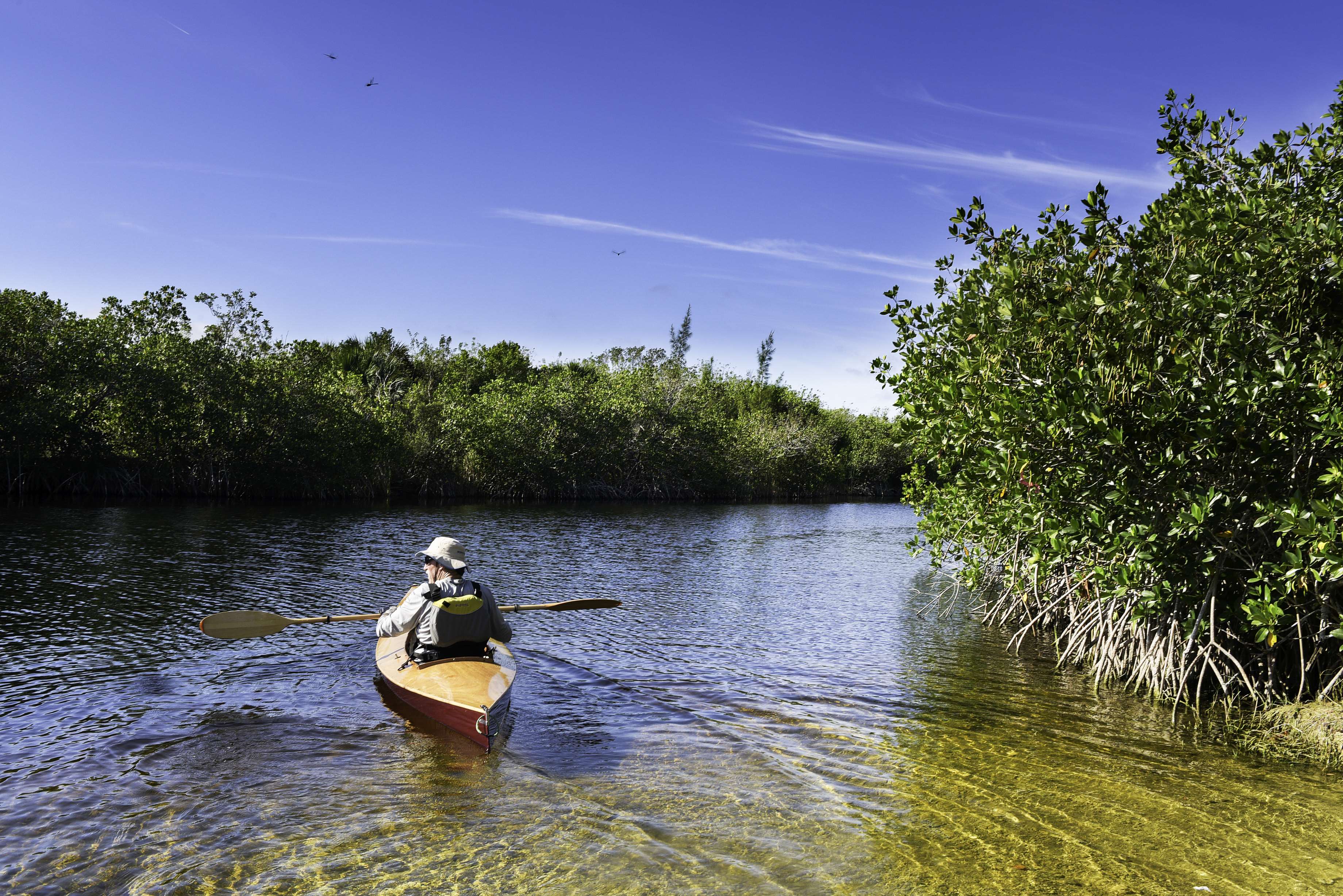 Desert to Mangroves: Full Day in Sechura - Imagen 3