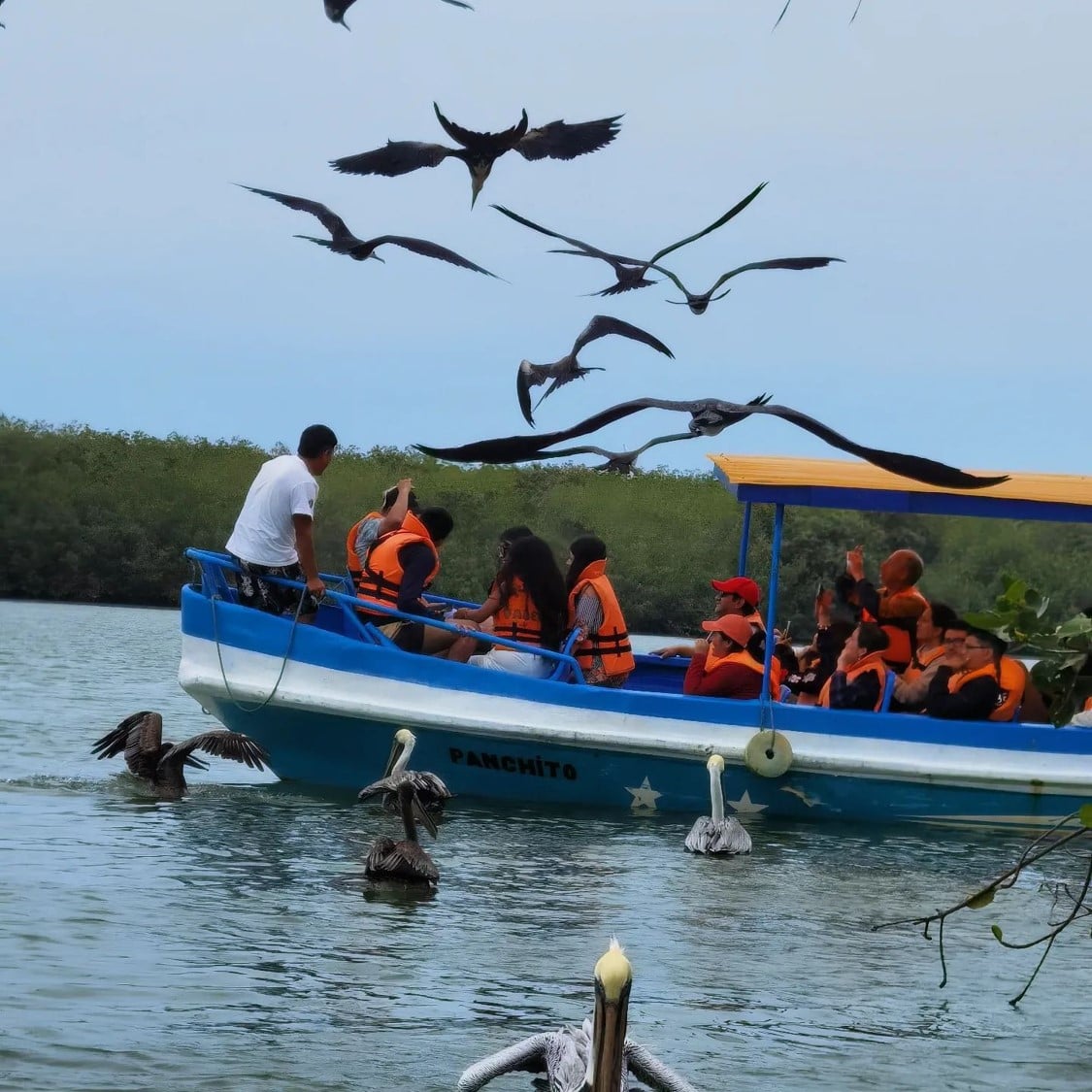 Manglares: Puerto Pizarro y las islas - Imagen 3