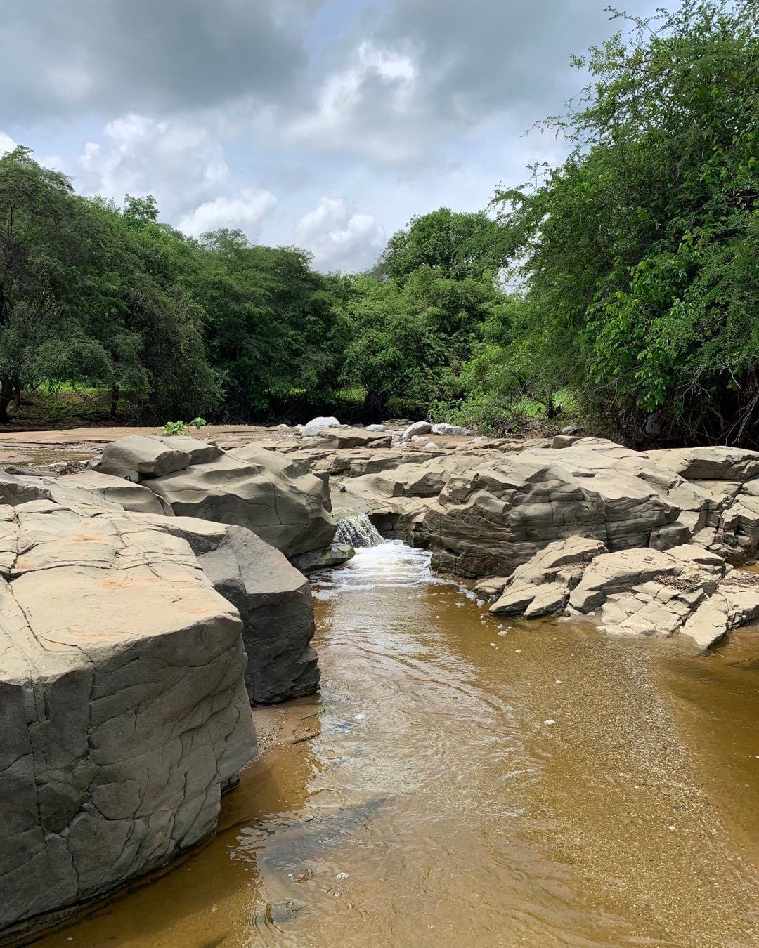Parque Nacional Cerros de Amotape - Imagen 3
