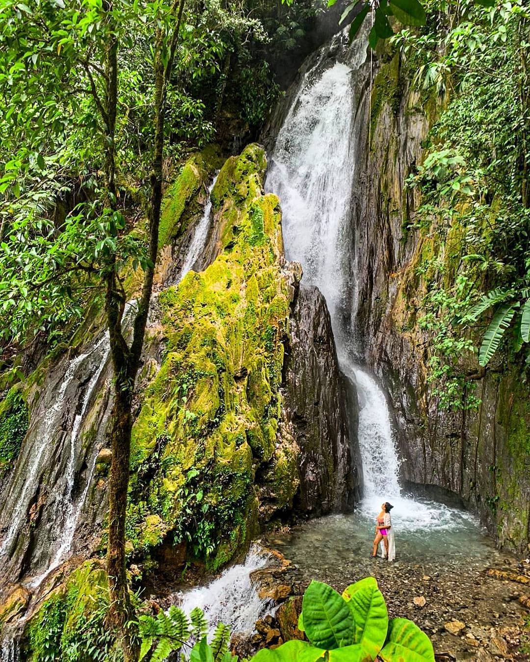 Oasis de la naturaleza: Honolulu - Imagen 4