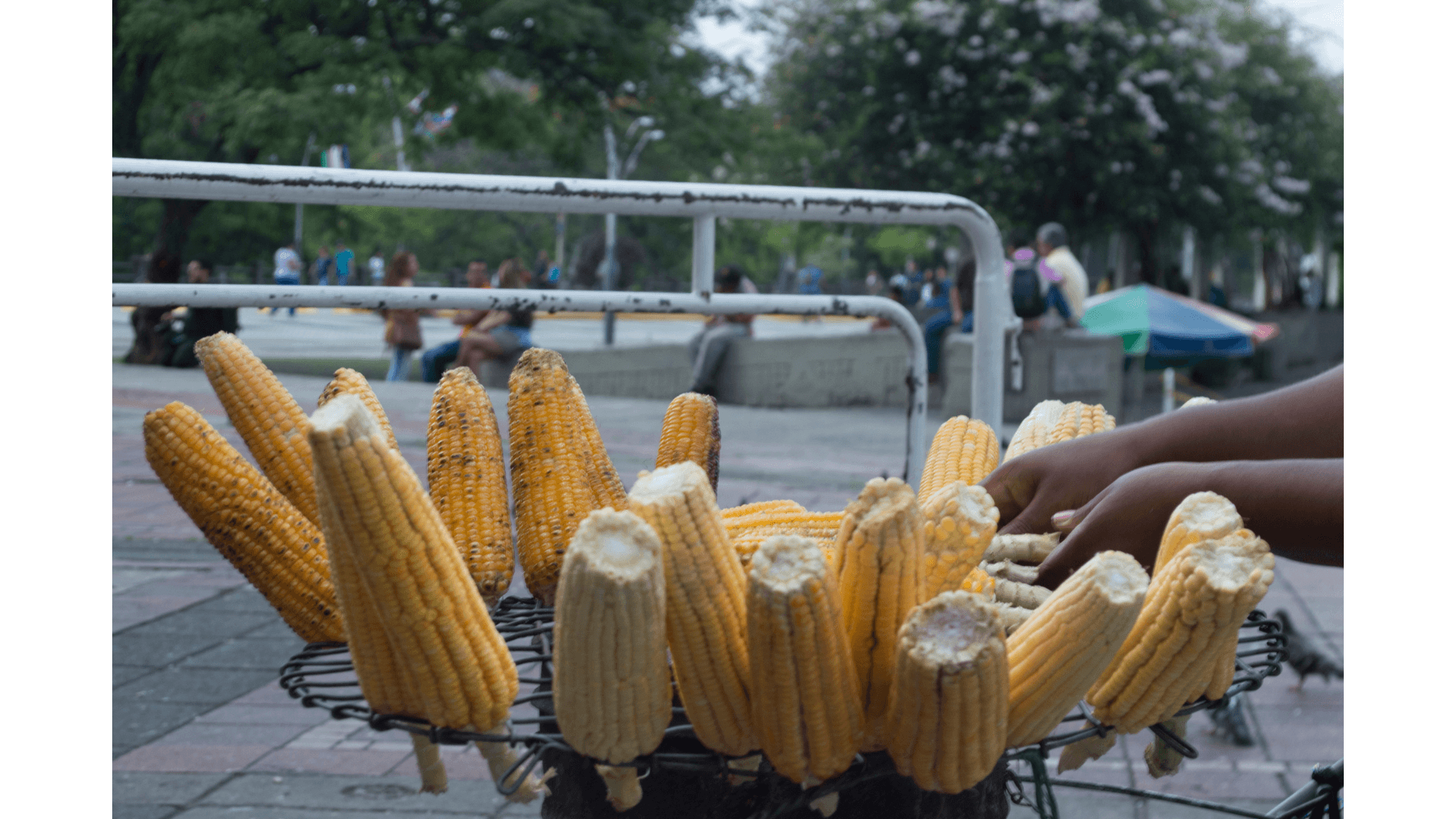 Valle Gastronómico en Cali - Imagen 3