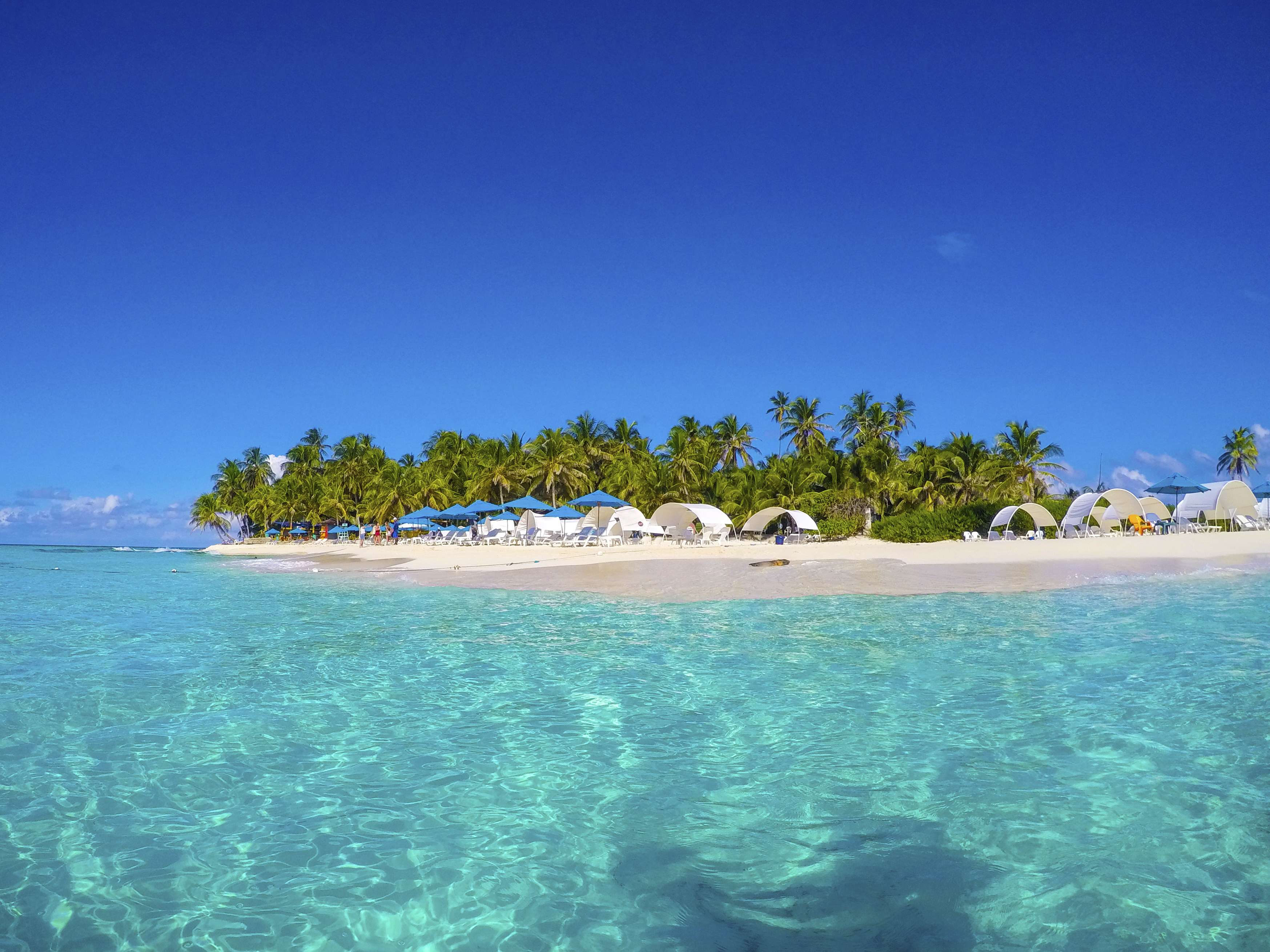 Tour Acuario y Johnny Cay en San Andrés - Imagen 2