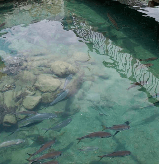 Acuario y Playa Blanca en Santa Marta - Imagen 4