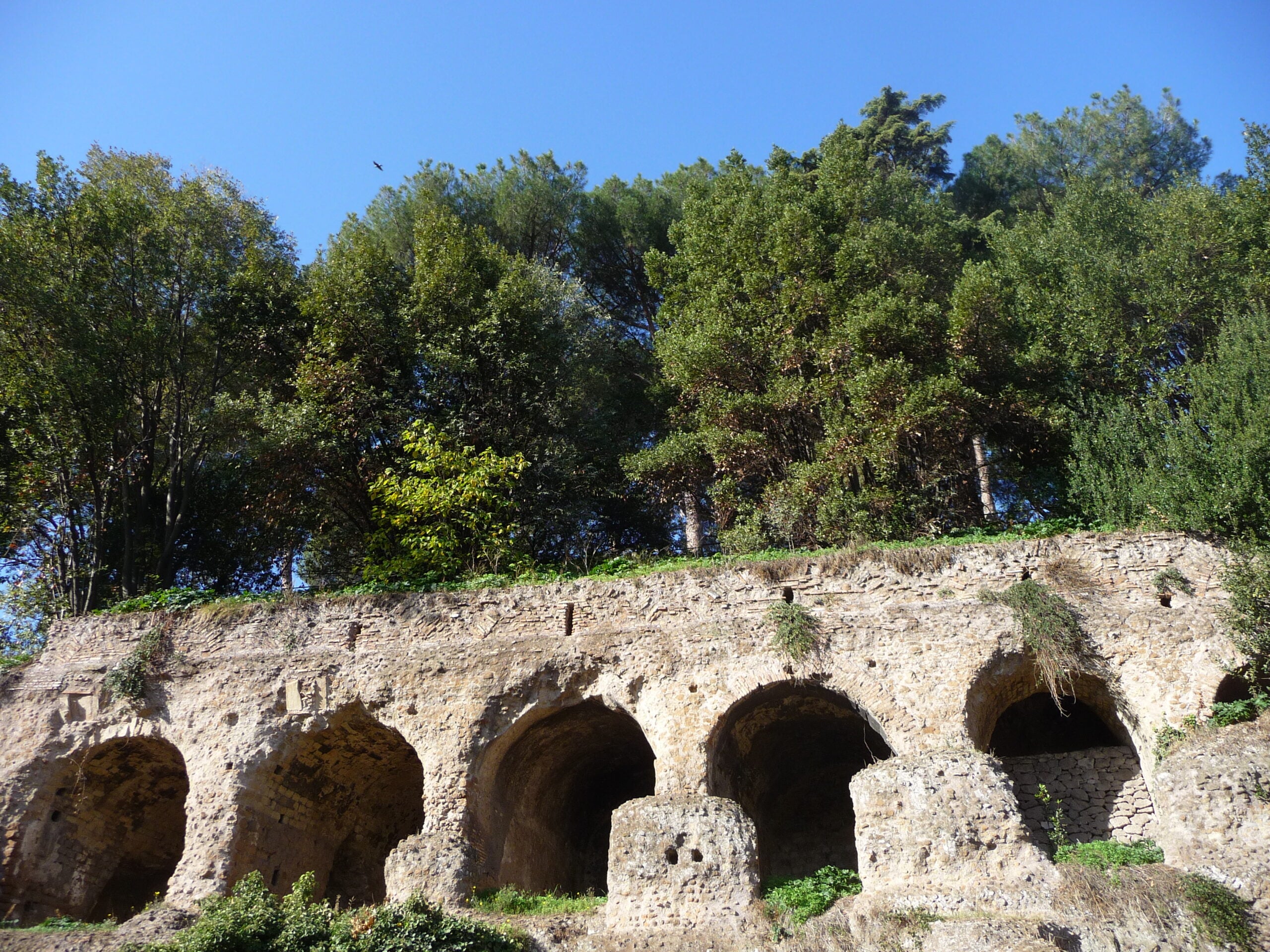Small-Group Colosseum Arena & Forum Tour - Imagen 2